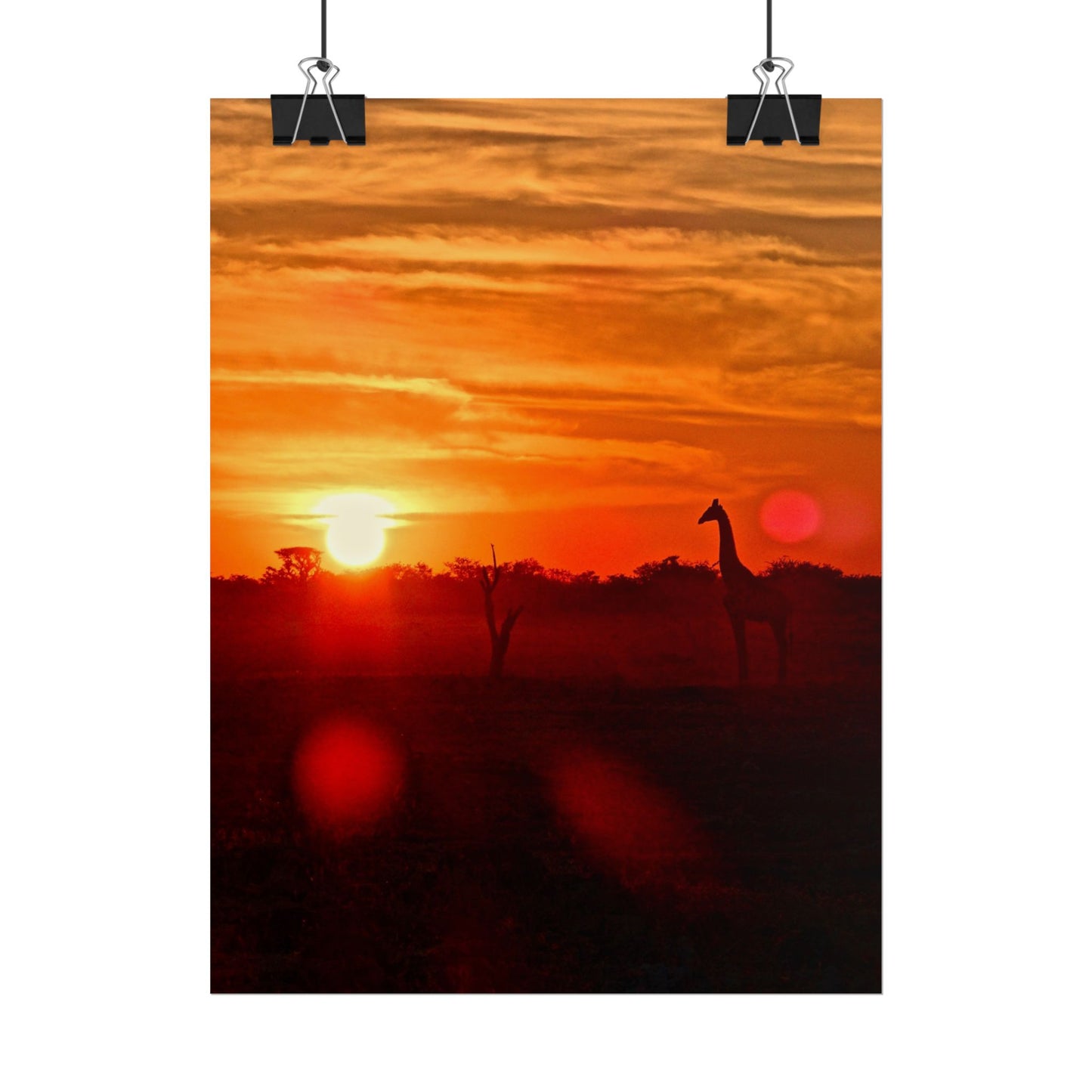 Giraffes at Sunset