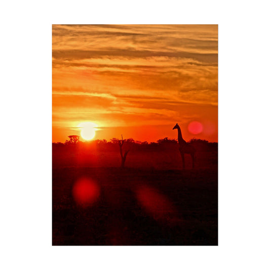 Giraffes at Sunset
