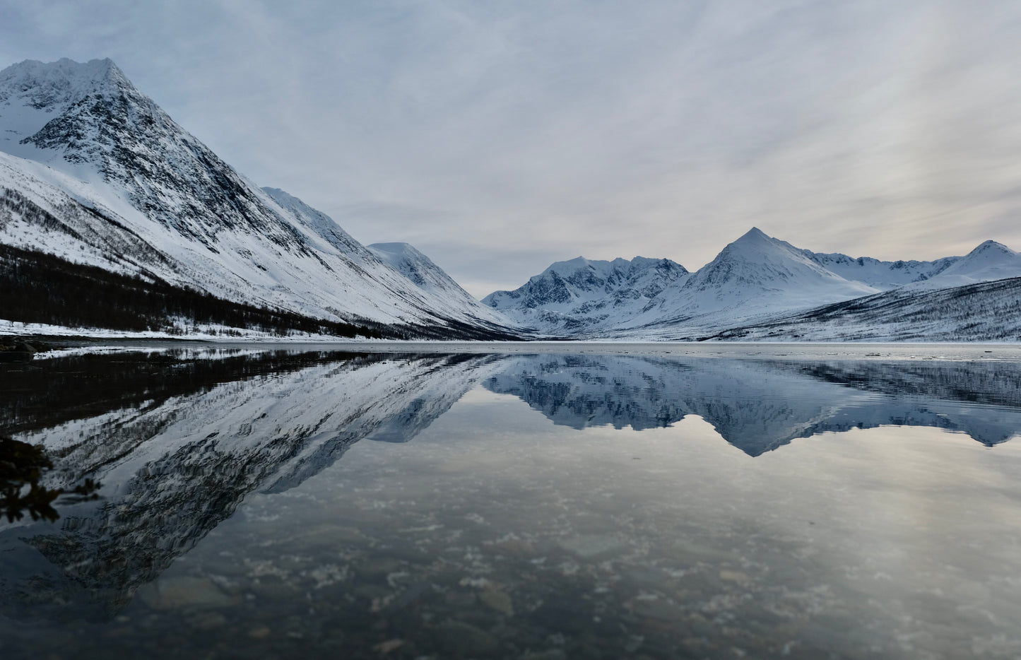 Norwegian Fjords