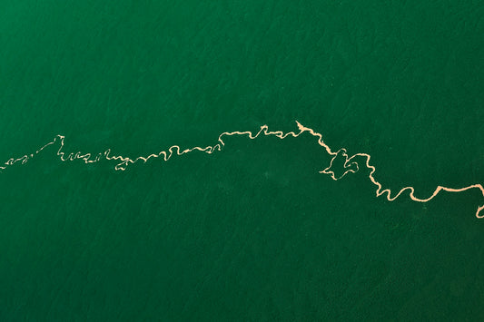 Amazon Rainforest